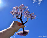 Amethyst Gemstone Tree - On Special for $99!