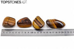 Tigers Eye - Power