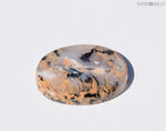 Dendritic Agate Cabochon - Xmas Special $24