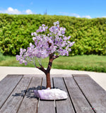 Amethyst Gemstone Tree - On Special for $99!