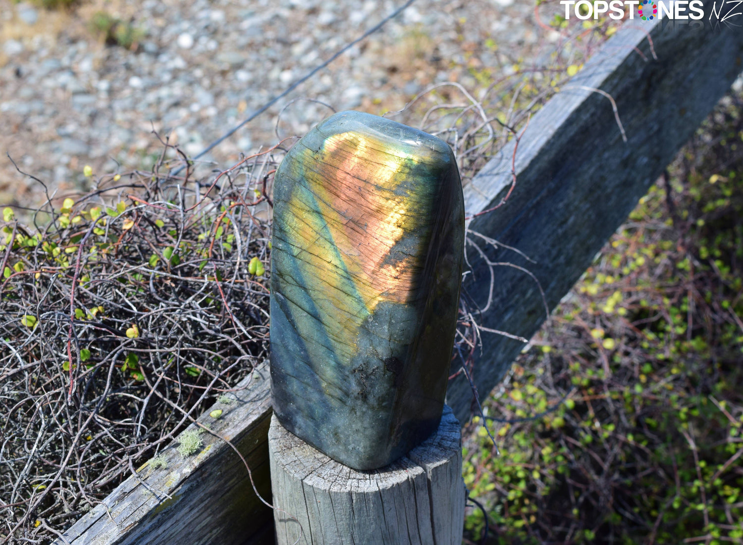 Labradorite - Standing Freeform