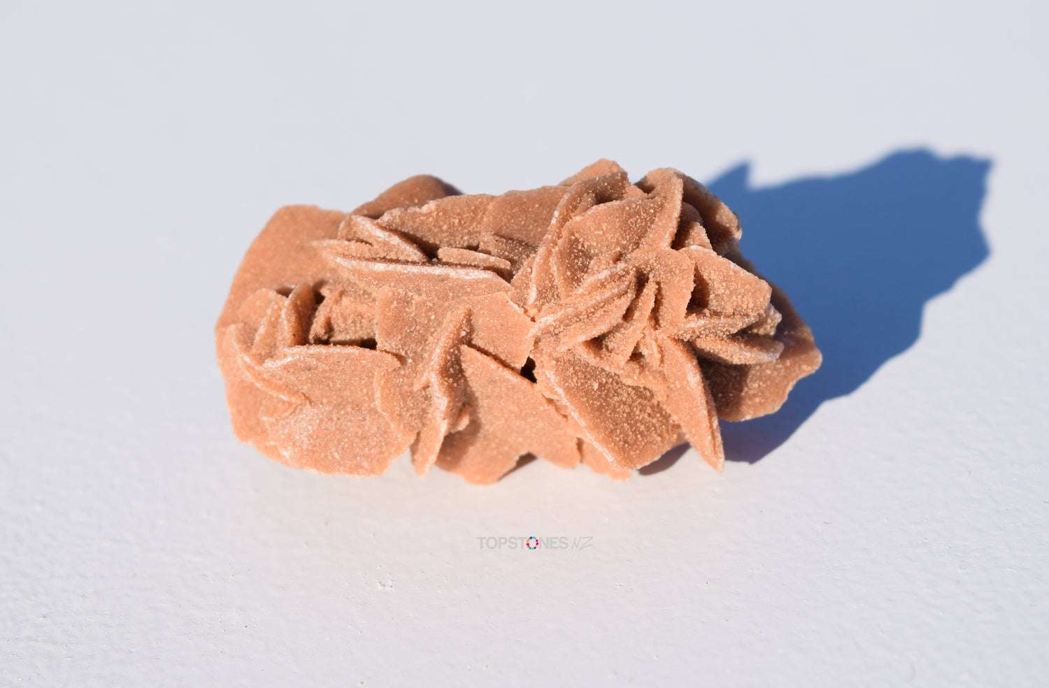 Desert Rose