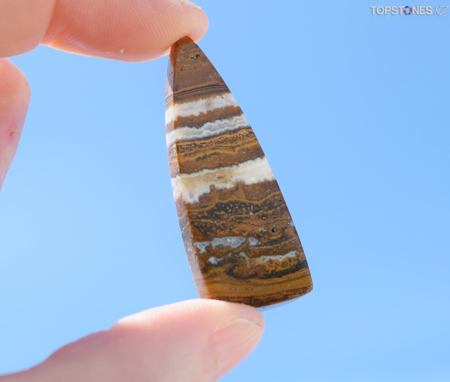 Jasper Cabochon - Xmas Special $21