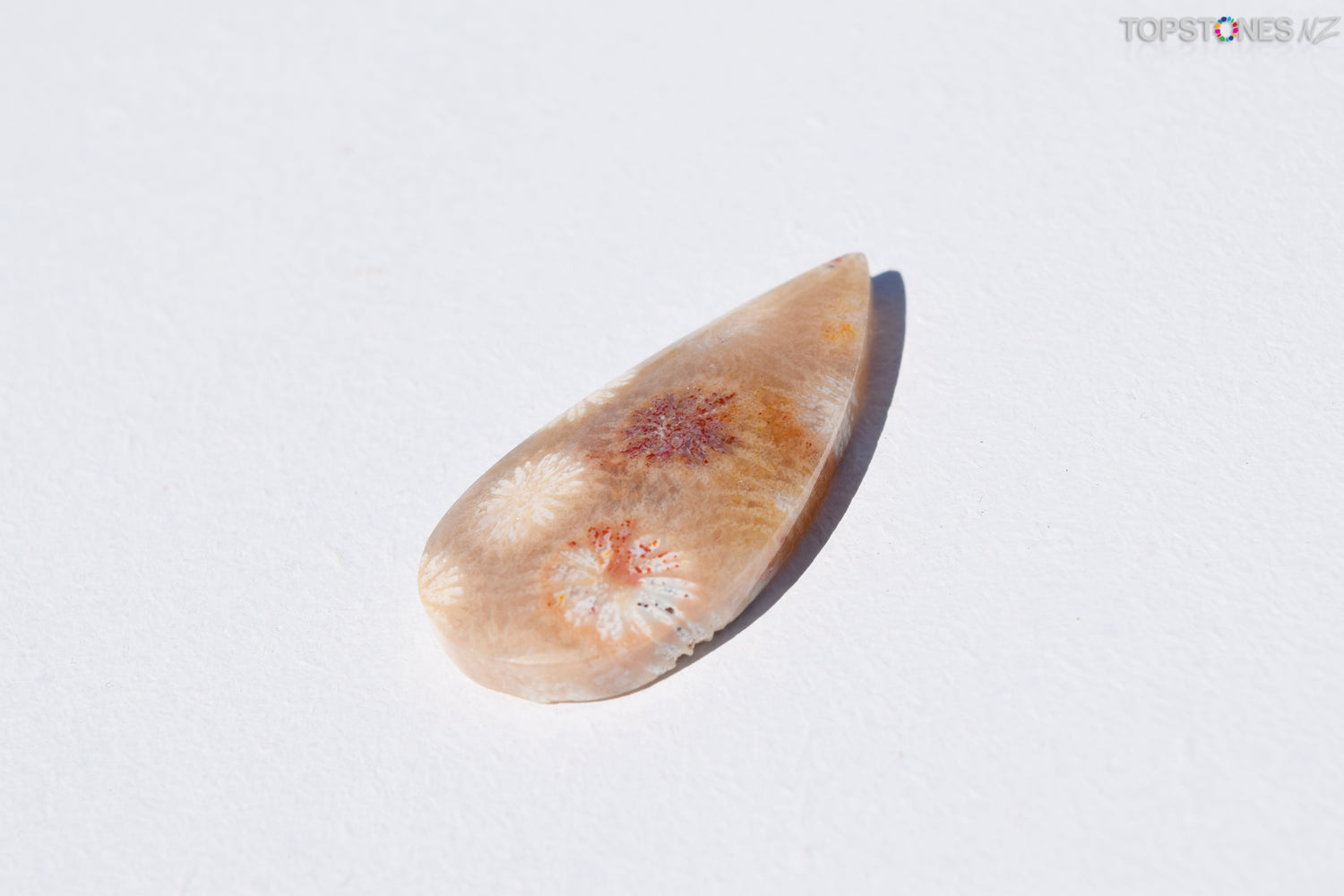 Agatized Coral Cabochon - Xmas Special $21