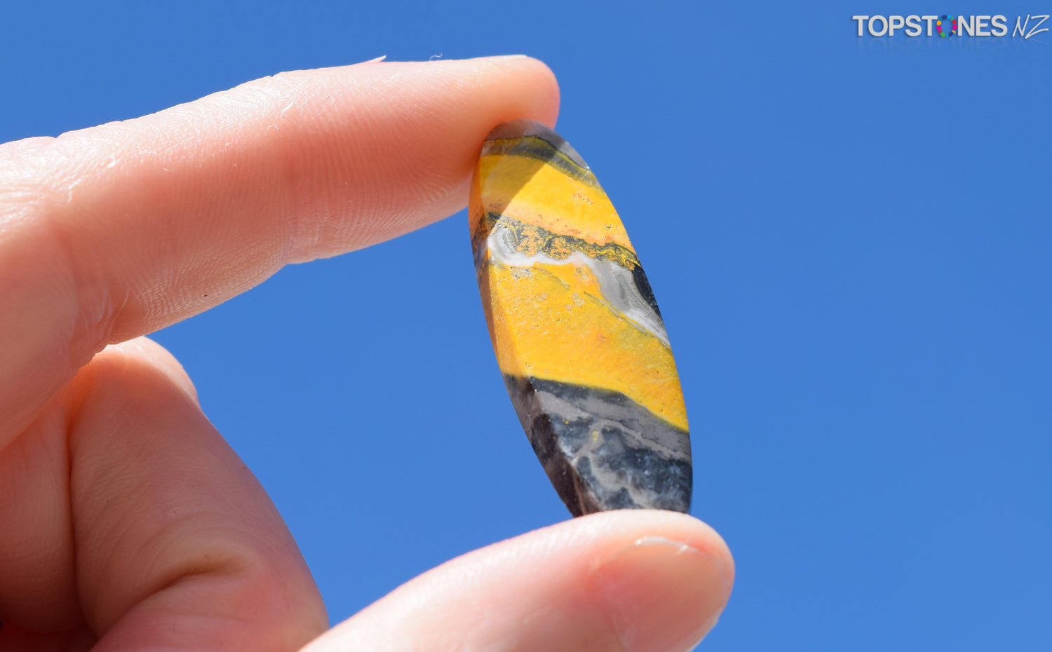 Bumblebee Jasper Cabochon - Xmas Special $22